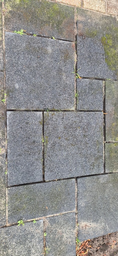 Gratis gebruikte terrastegels 22 m², Tuin en Terras, Ophalen, Gebruikt, Beton, Terrastegels