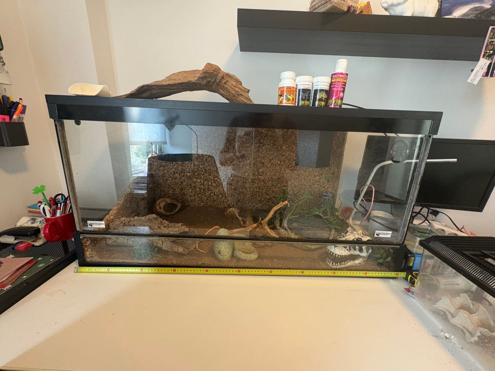 Complete terrarium set 100x50x50 incl. lampen & accessoires, Ophalen, Gebruikt, Terrarium of Paludarium