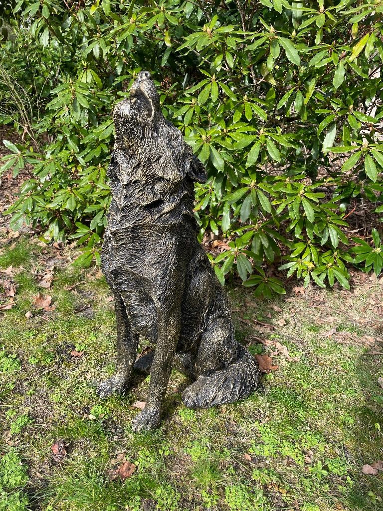 Beeld wolf, hond, terras, tuin, 75 cm, Ophalen, Nieuw, Kunststof, Dierenbeeld