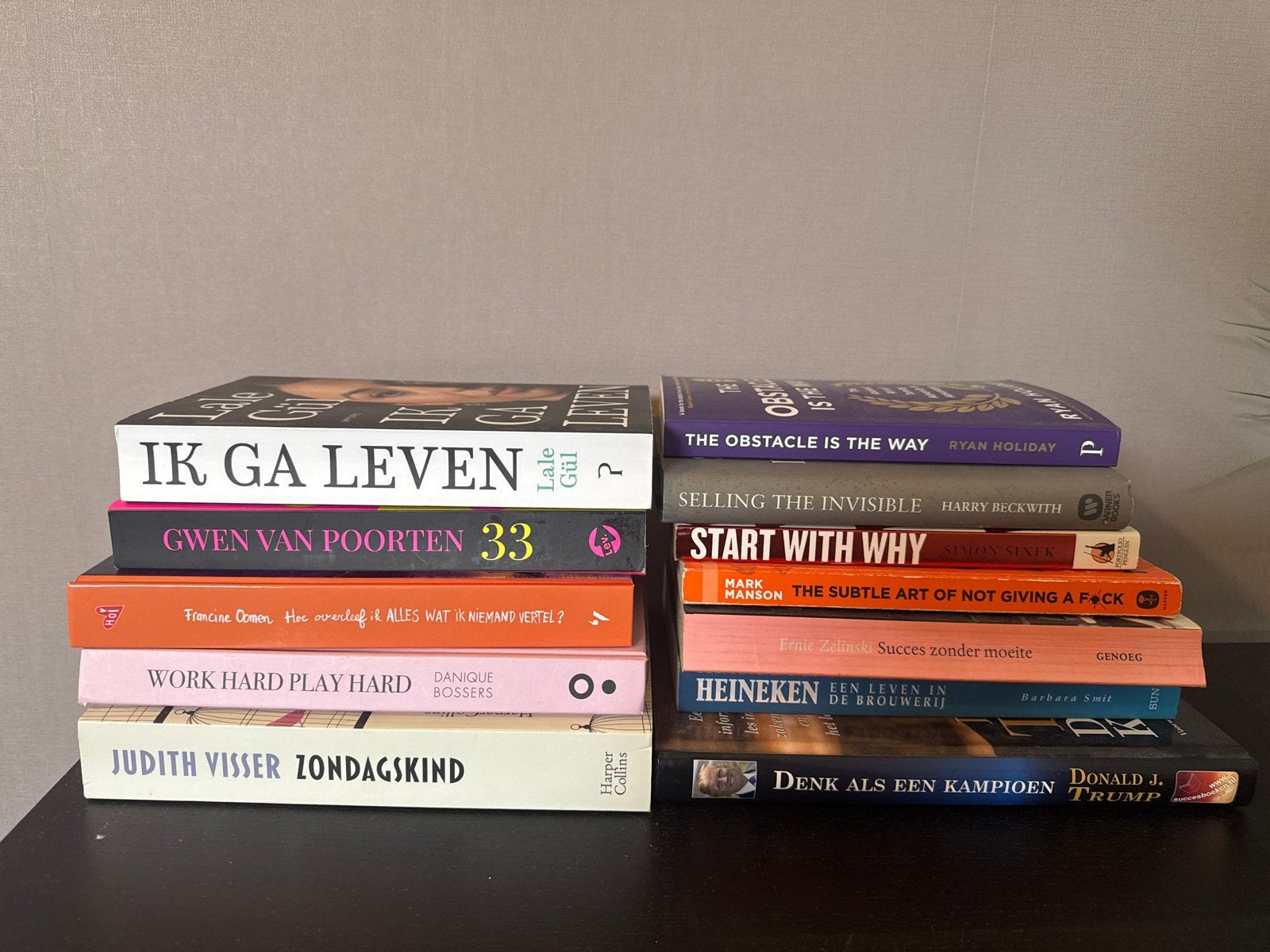 Diverse boekenbundel: Zelfhulp, biografieën en meer, Ophalen, Gelezen, Nederland