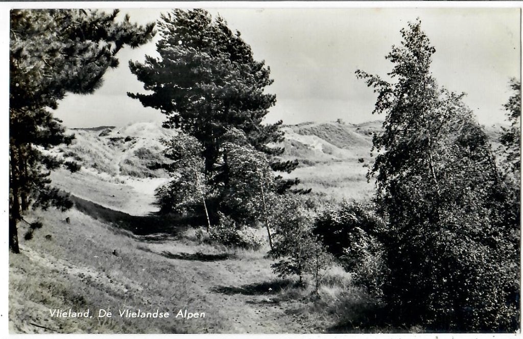 Vlieland - De Vlielandse Alpen, Verzamelen, Verzenden, 1940 tot 1960, Gelopen, Waddeneilanden