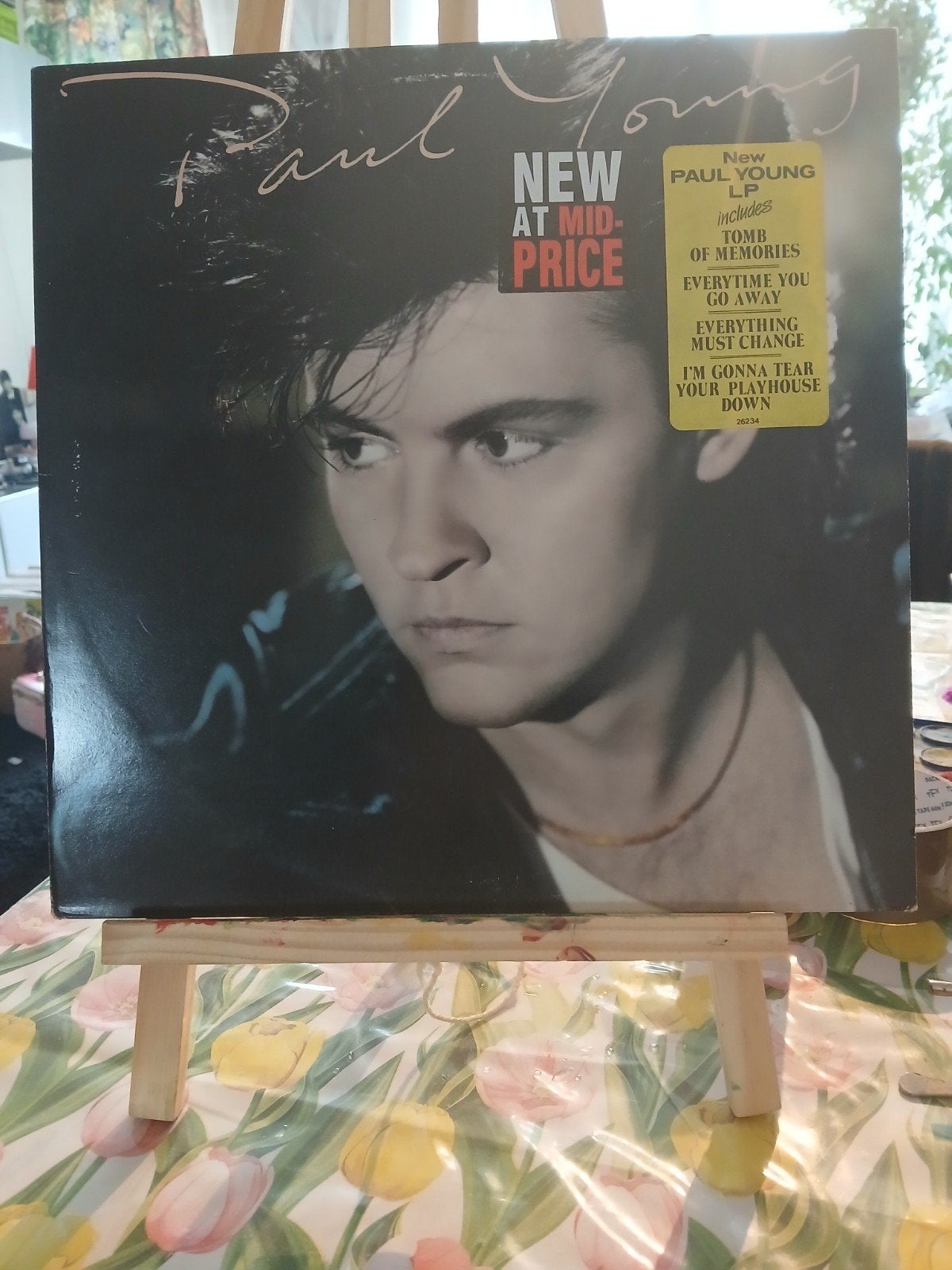 Paul Young - The Secret of Association LP (1985), Ophalen of Verzenden, Gebruikt, 12 inch