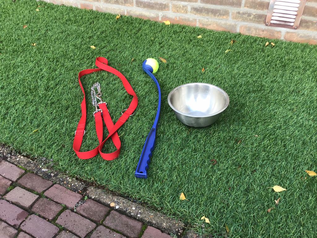 Te koop honderiem + voerbak, Ophalen of Verzenden