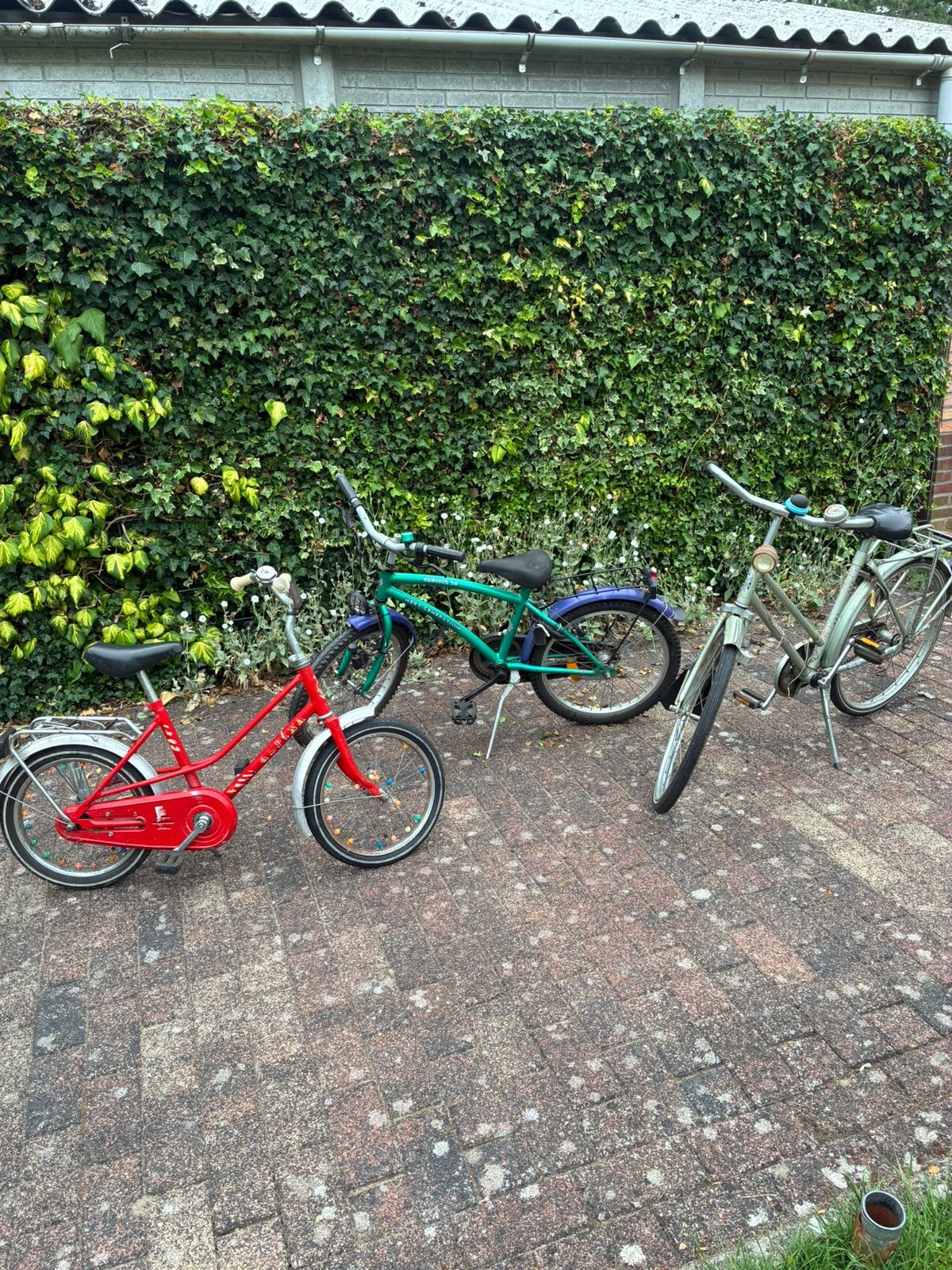 3 kinderfietsjes in 1 koop. (Ook per fiets is mogelijk), Minder dan 47 cm, Ophalen