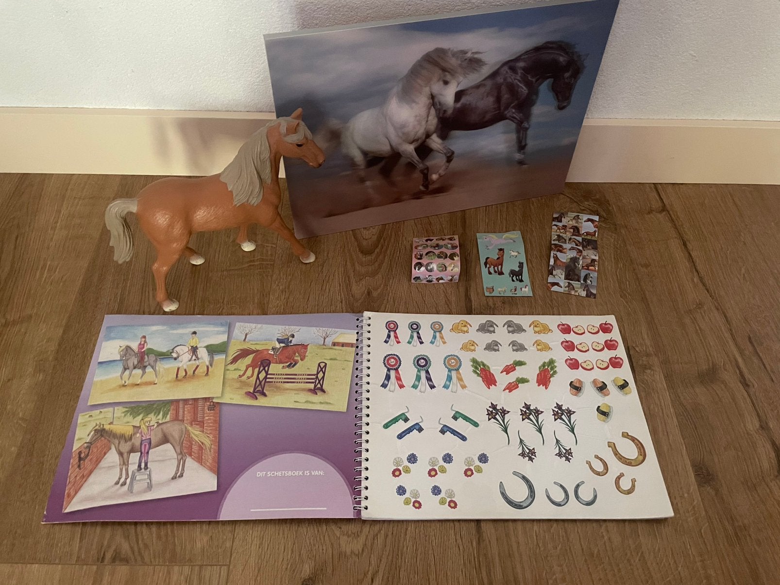 Paardenschilderij 3 D, paard en ontwerp/kleurboek., Kinderen en Baby's, Ophalen of Verzenden, Zo goed als nieuw, Overige typen