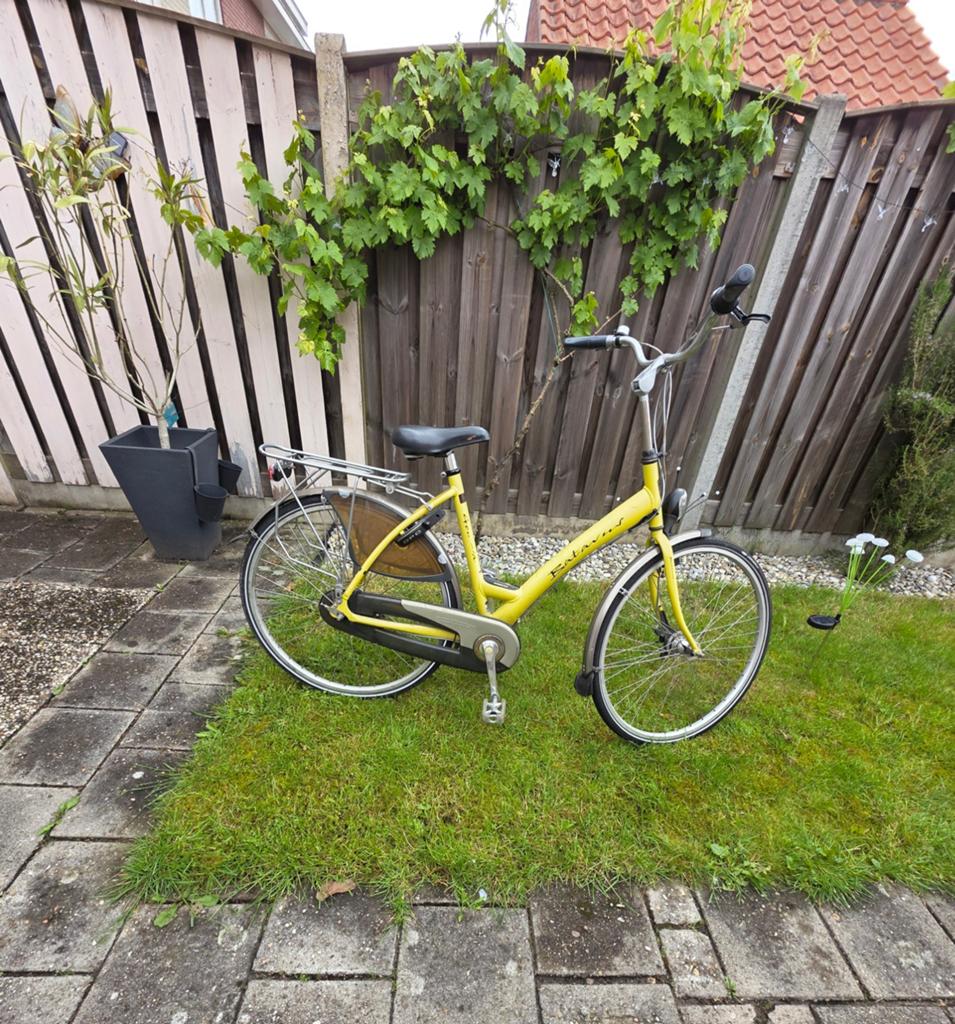 Batavus damesfiets - Zeer goede staat, Fietsen en Brommers, Fietsen | Dames | Damesfietsen, Ophalen, Zo goed als nieuw, Batavus