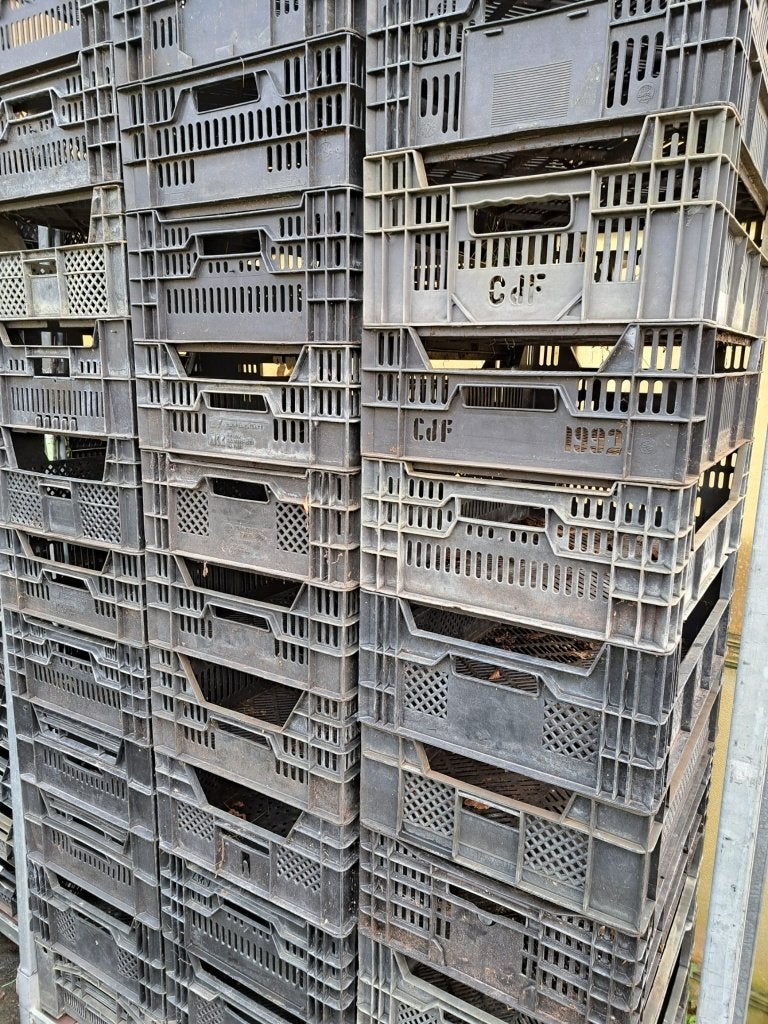 Partij 100x Veenmankisten (40x60x15 cm) – €350, Ophalen, Kunststof, Zo goed als nieuw, Tuincentrum en kwekerij de Triemen