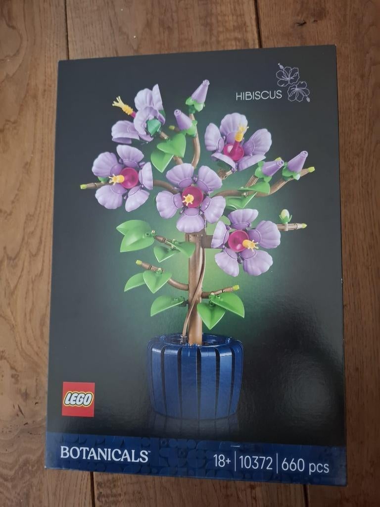 Lego Hibiscus 10372 nieuw, Ophalen, Lego, Nieuw, Complete set