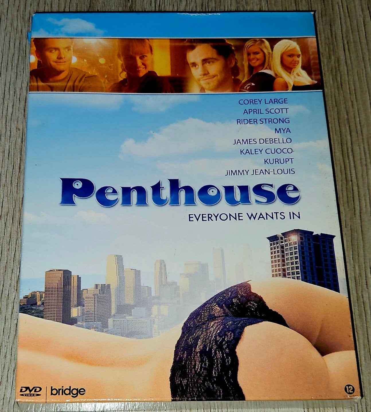 Penthouse: Everyone Wants In - DVD, Cd's en Dvd's, Vanaf 12 jaar, Ophalen of Verzenden, Gebruikt, Actiekomedie