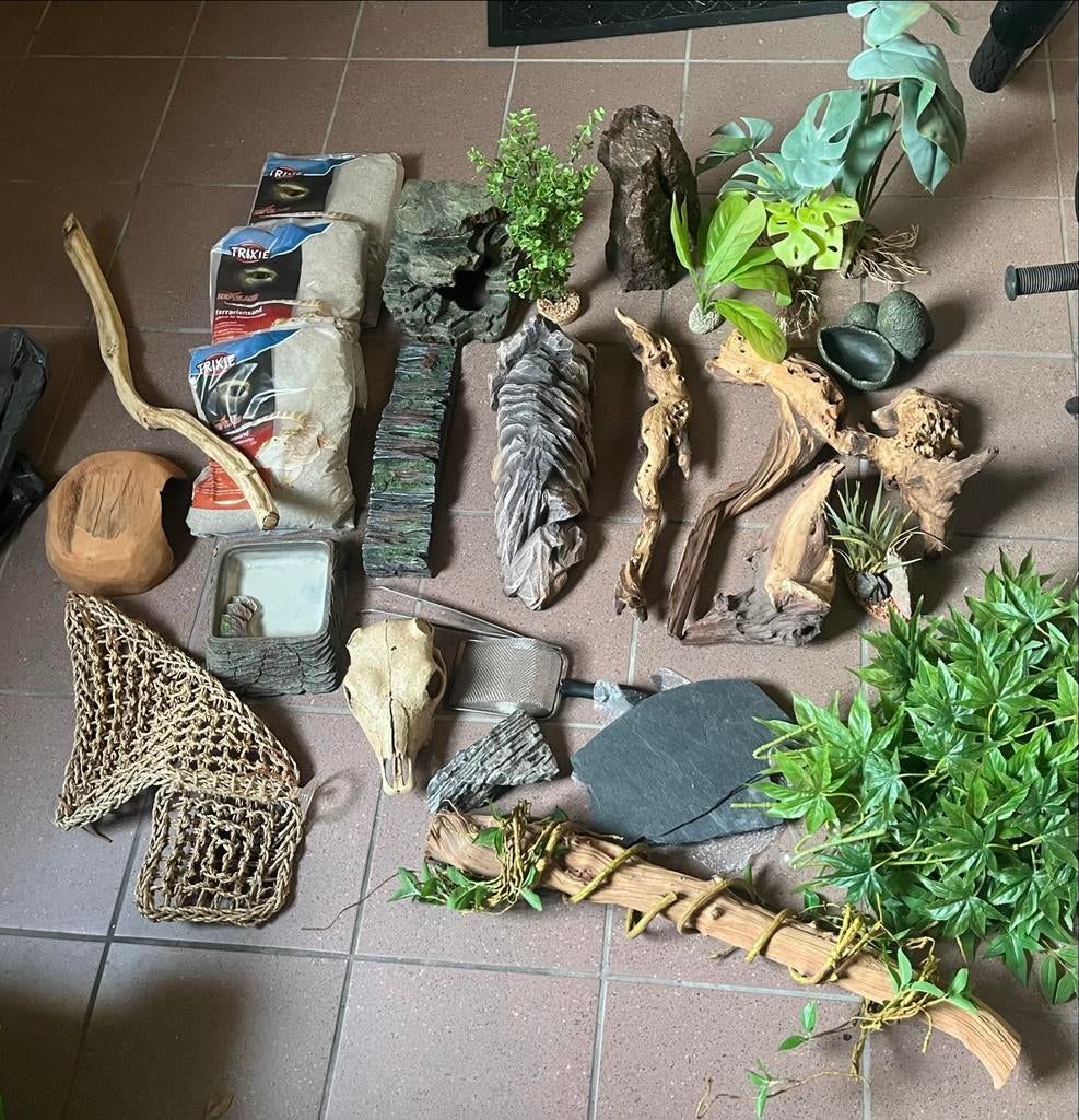 Terrarium toebehoren complete set, Ophalen, Zo goed als nieuw, Tak, Plant, Rots of Steen