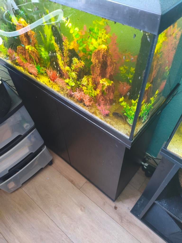 Aquarium 110 liter, Ophalen, Zo goed als nieuw, Gevuld zoetwateraquarium