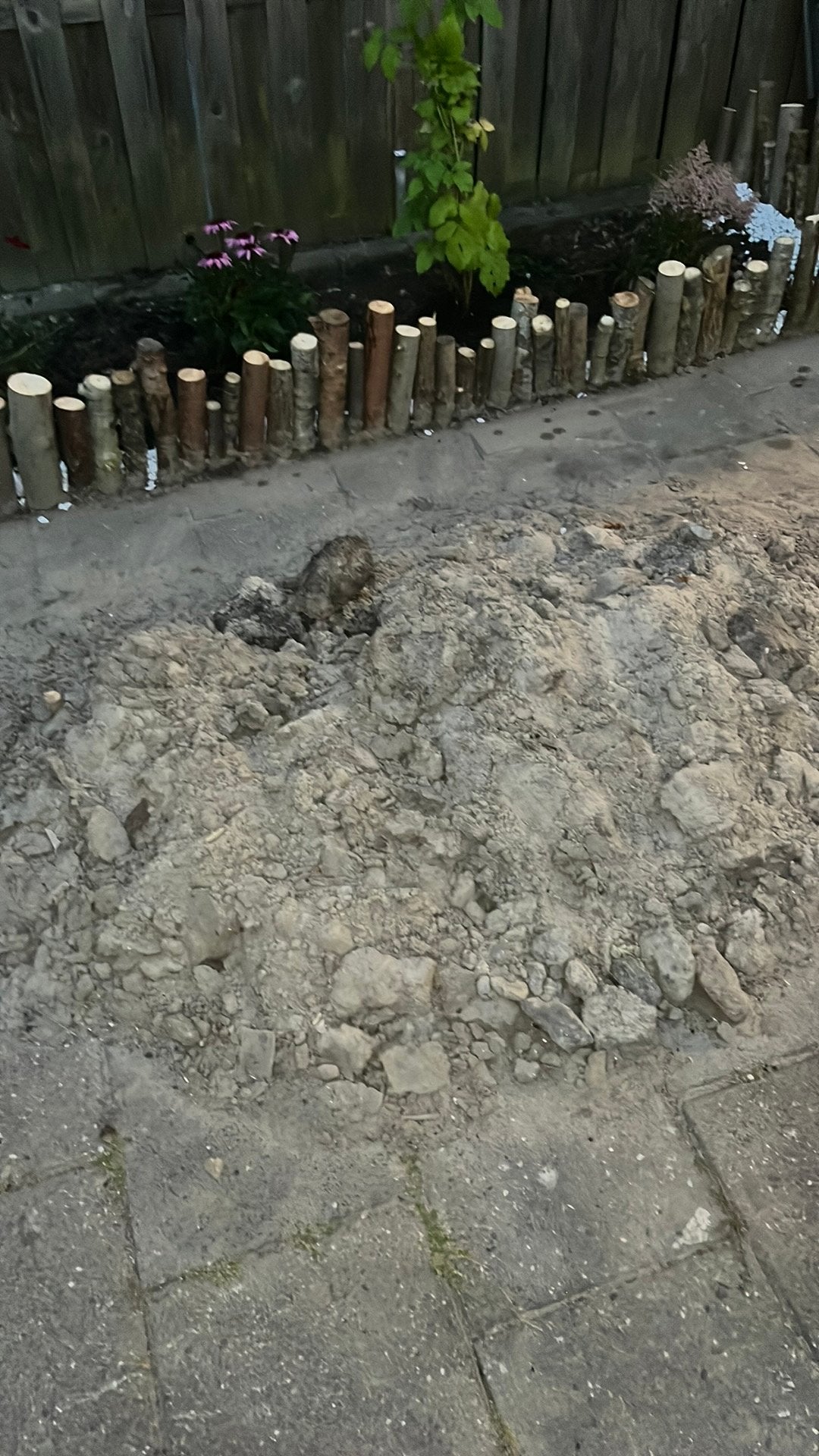 Gratis zand, Ophalen, Zo goed als nieuw, Ophoogzand