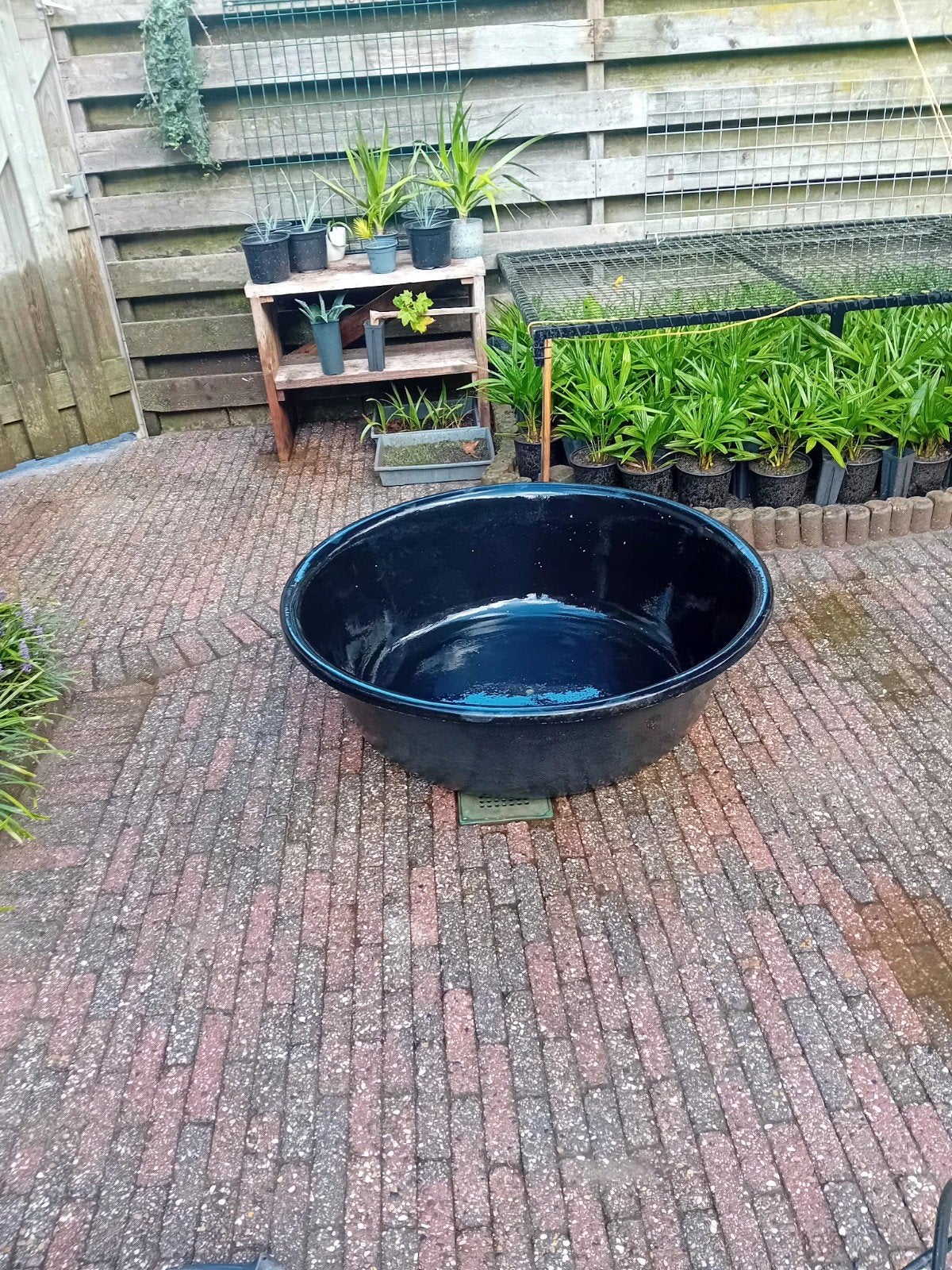 Ubbink 1100 vijver, 110 cm diameter, 33 cm diep, Ophalen, Gebruikt