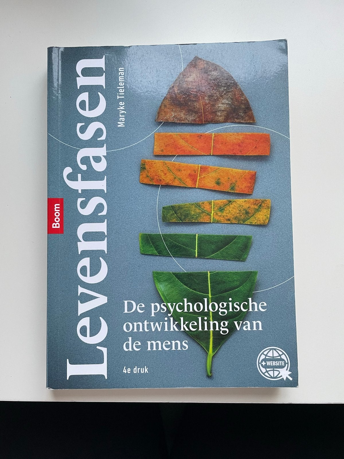 Levensfasen: De psychologische ontwikkeling van de mens, Ophalen of Verzenden, Gamma, Zo goed als nieuw, HBO