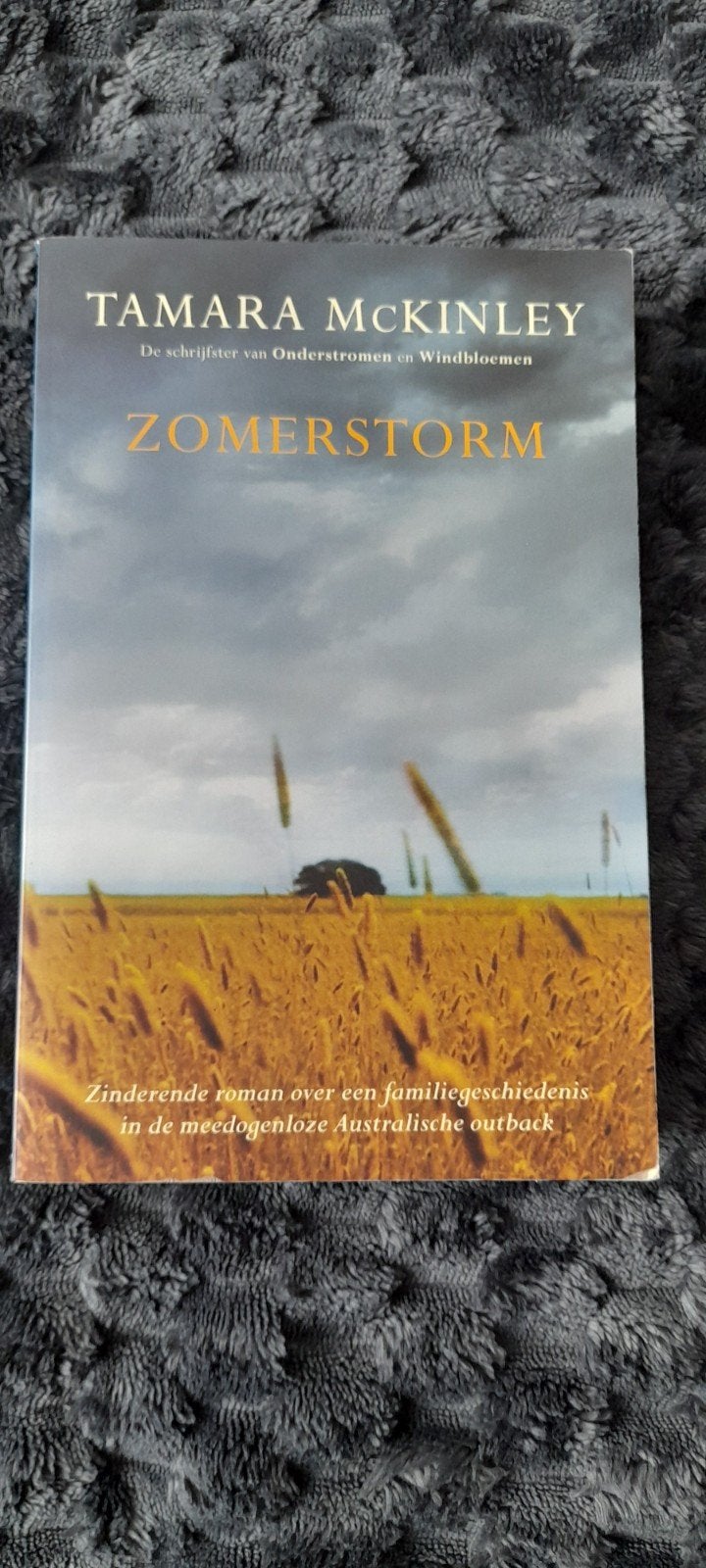 T. MacKinley - Zomerstorm, Ophalen of Verzenden, Zo goed als nieuw, T. MacKinley