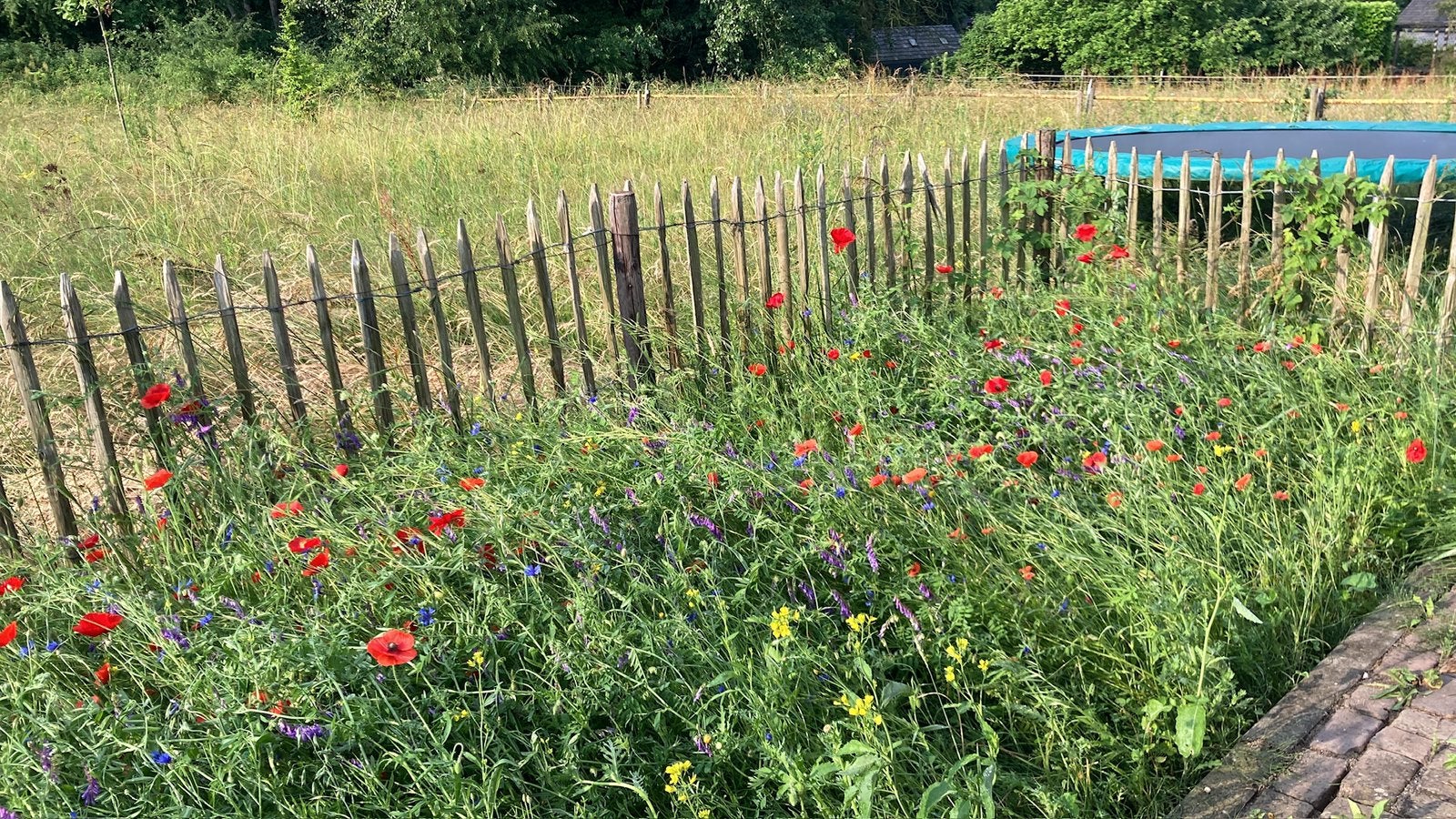 Tuinman gezocht, Ophalen of Verzenden, Zo goed als nieuw, 20 m² of meer