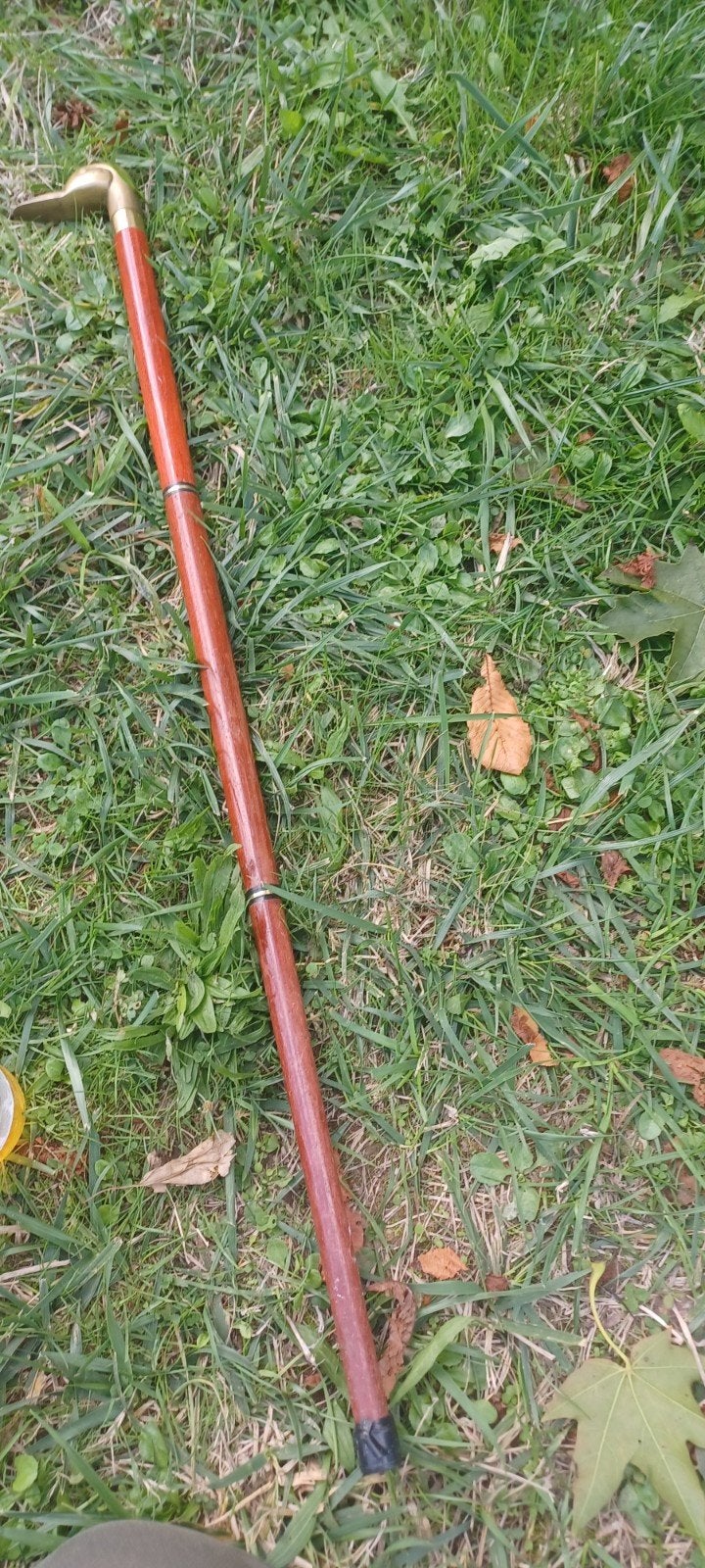 leuke wandelstok met bronze dierkop, Ophalen of Verzenden
