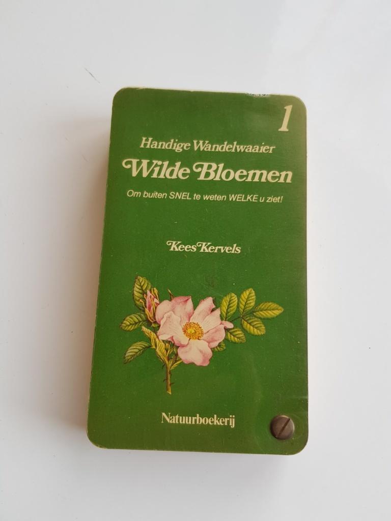 Kervel, Wilde bloemen, handige wandelwaaier, Verzenden, Bloemen, Planten en Bomen