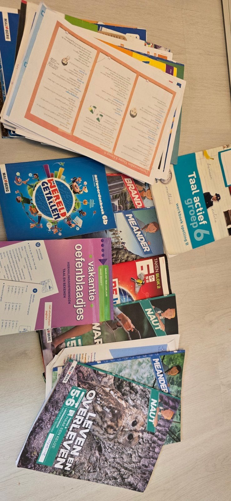 Schoolboeken groep 5 en 6 gebruikt, Boeken, Ophalen, Gelezen, Overige niveaus