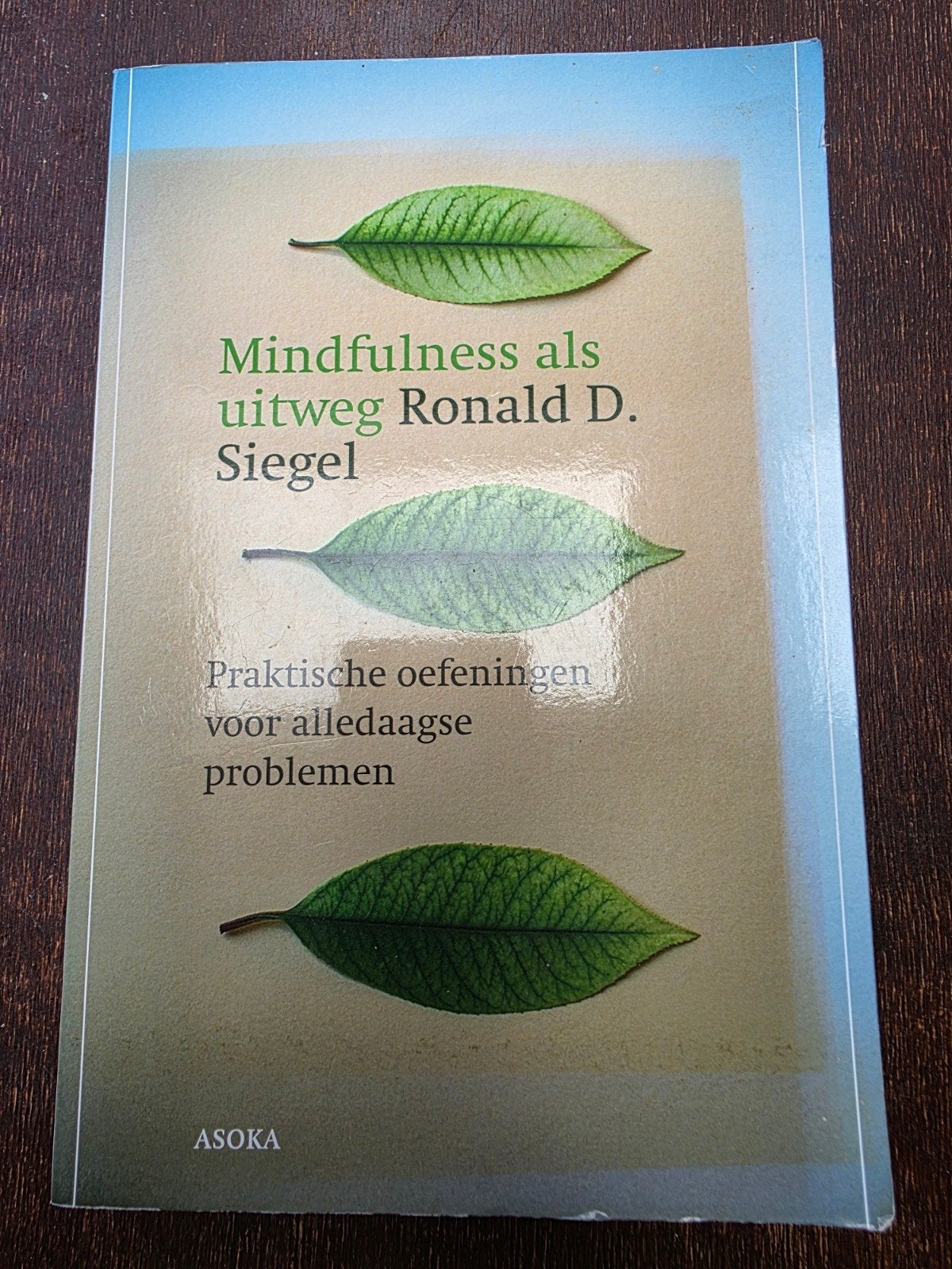 Mindfulness als uitweg - Ronald D. Siegel - praktische oefen, Spiritualiteit algemeen, Ronald D. Siegel, Ophalen of Verzenden