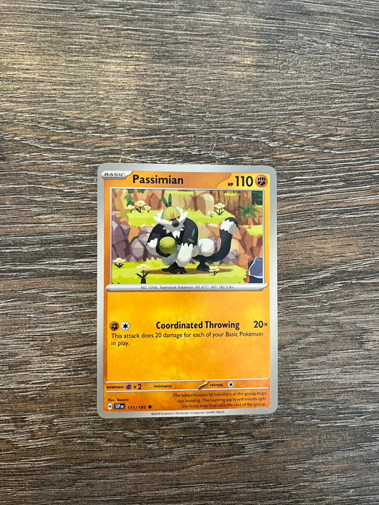 Passimian SSP 111/191, Ophalen of Verzenden, Zo goed als nieuw