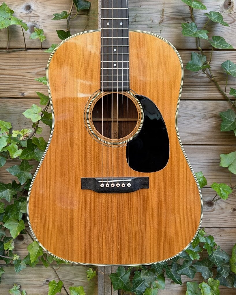 1969 MARTIN D-28S, Ophalen, Gebruikt, Western- of Steelstringgitaar, Met koffer