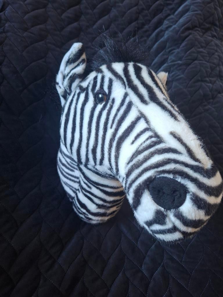 Pluche dierenkoppen om op te hangen, Ophalen, Wanddecoratie