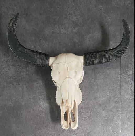 Waterbuffel western decoratie skull wand USA mancave kado, Western, Americansaleshop@gmail.com, Eu, Zo goed als nieuw
