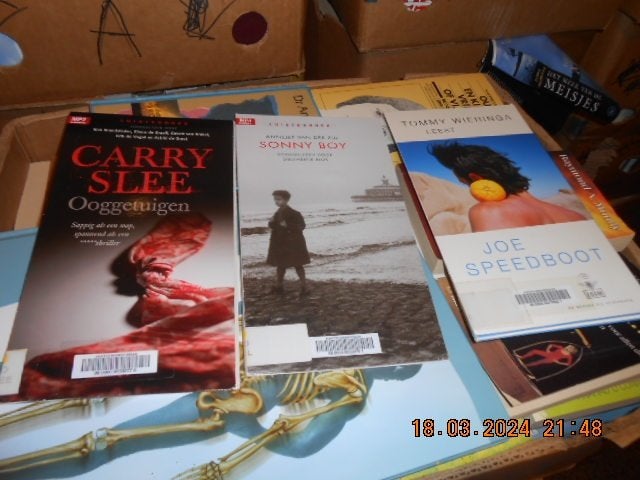 3 luisterboeken: slee/van der zijl/wieringa, Boeken, Luisterboeken, Ophalen of Verzenden