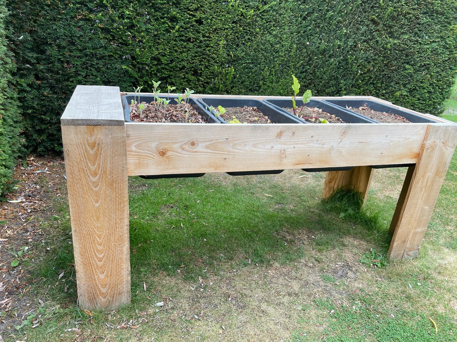 Houten moestuintafel kweektafel moestuin kas groentetuin, Tuin en Terras, Bloembakken en Plantenbakken, Gebruikt, Hout, Tuin, 60 cm of meer