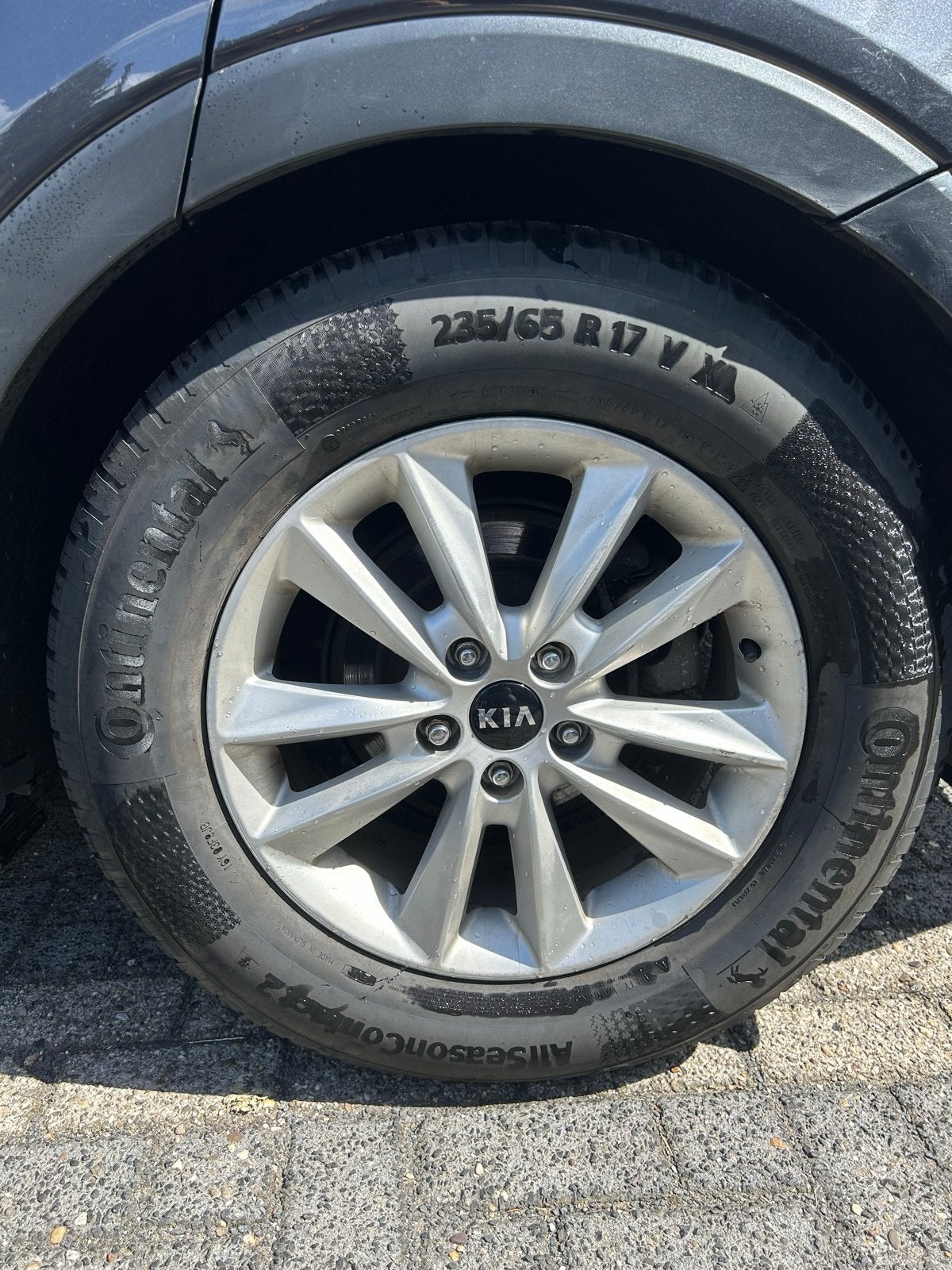 17 inch Originele Kia Sorento Velgen + AllSeasonContact 2, Auto-onderdelen, Gebruikt, Banden en Velgen, 17 inch, Ophalen of Verzenden