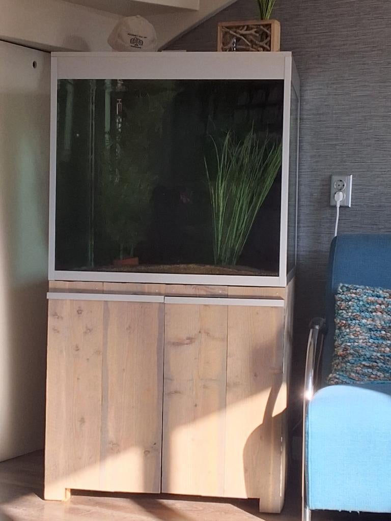 Aquarium 75x75x75, Dieren en Toebehoren, Ophalen, Gebruikt, Leeg aquarium