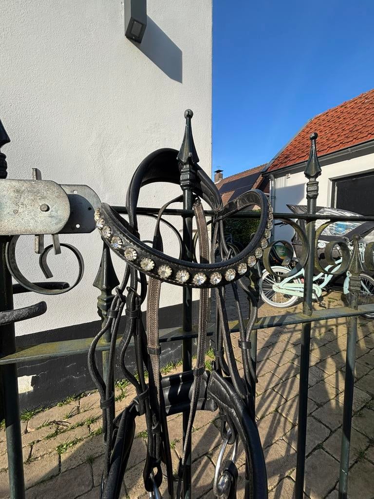 Tess full hoofdstel, Dieren en Toebehoren, Paarden en Pony's | Hoofdstellen en Tuigage, Ophalen of Verzenden, Zo goed als nieuw