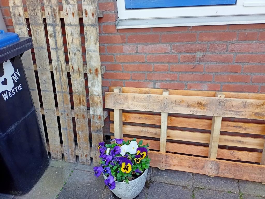 Pallets, Doe-het-zelf en Verbouw, Hout en Planken, Ophalen, Overige houtsoorten, Minder dan 200 cm, Pallet