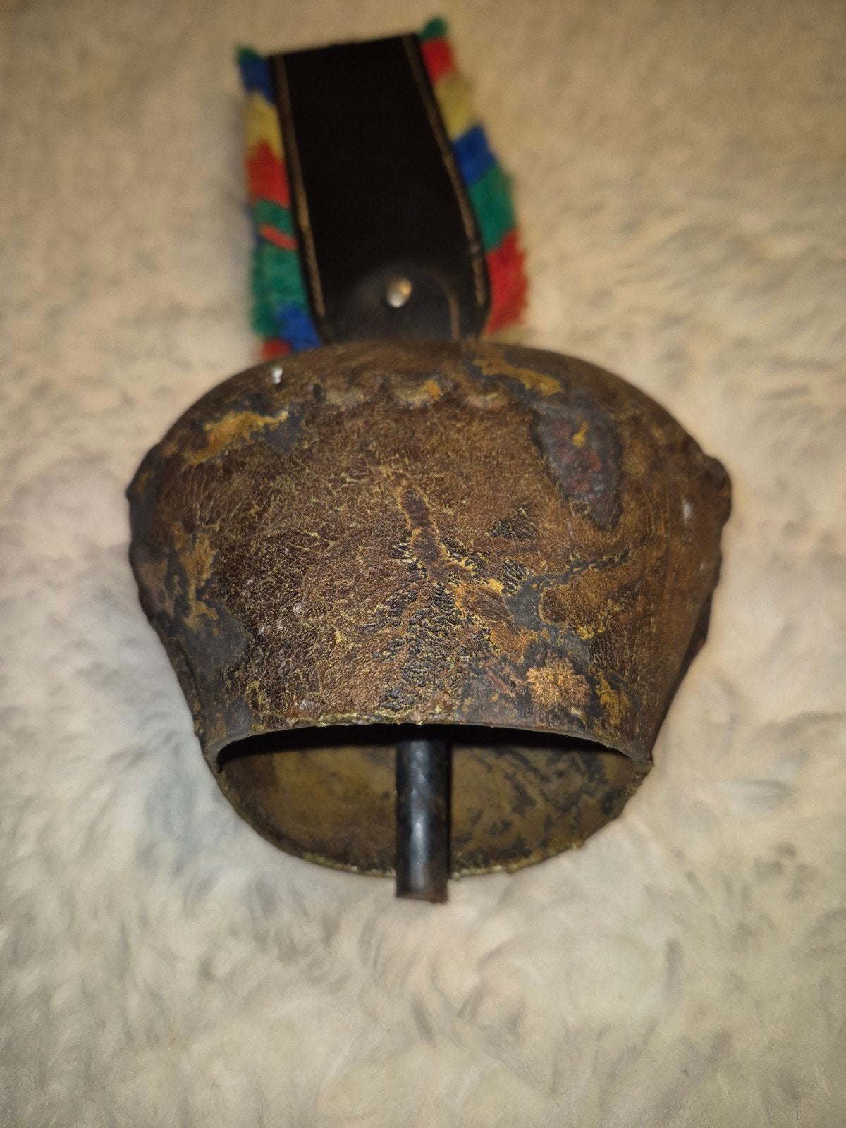 Oude koebel aan band, Ophalen