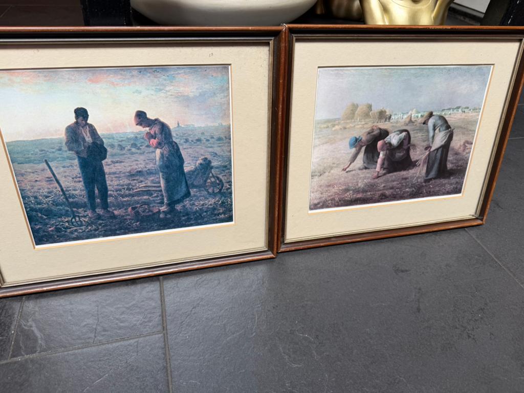 Angelus en arenleesters, Ophalen of Verzenden