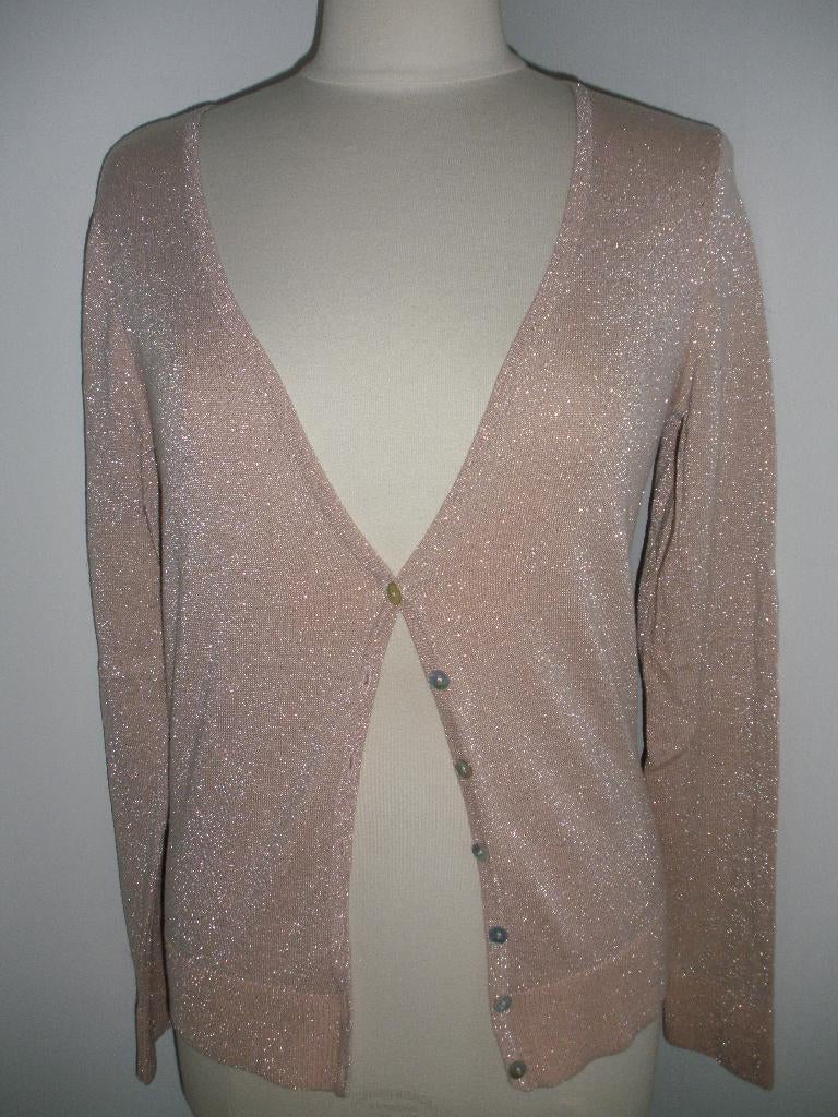 HEMA vest roze zilver glitter maat M - nieuw -, Kleding | Dames, Truien en Vesten, Maat 38/40 (M), Nieuw, Ophalen of Verzenden