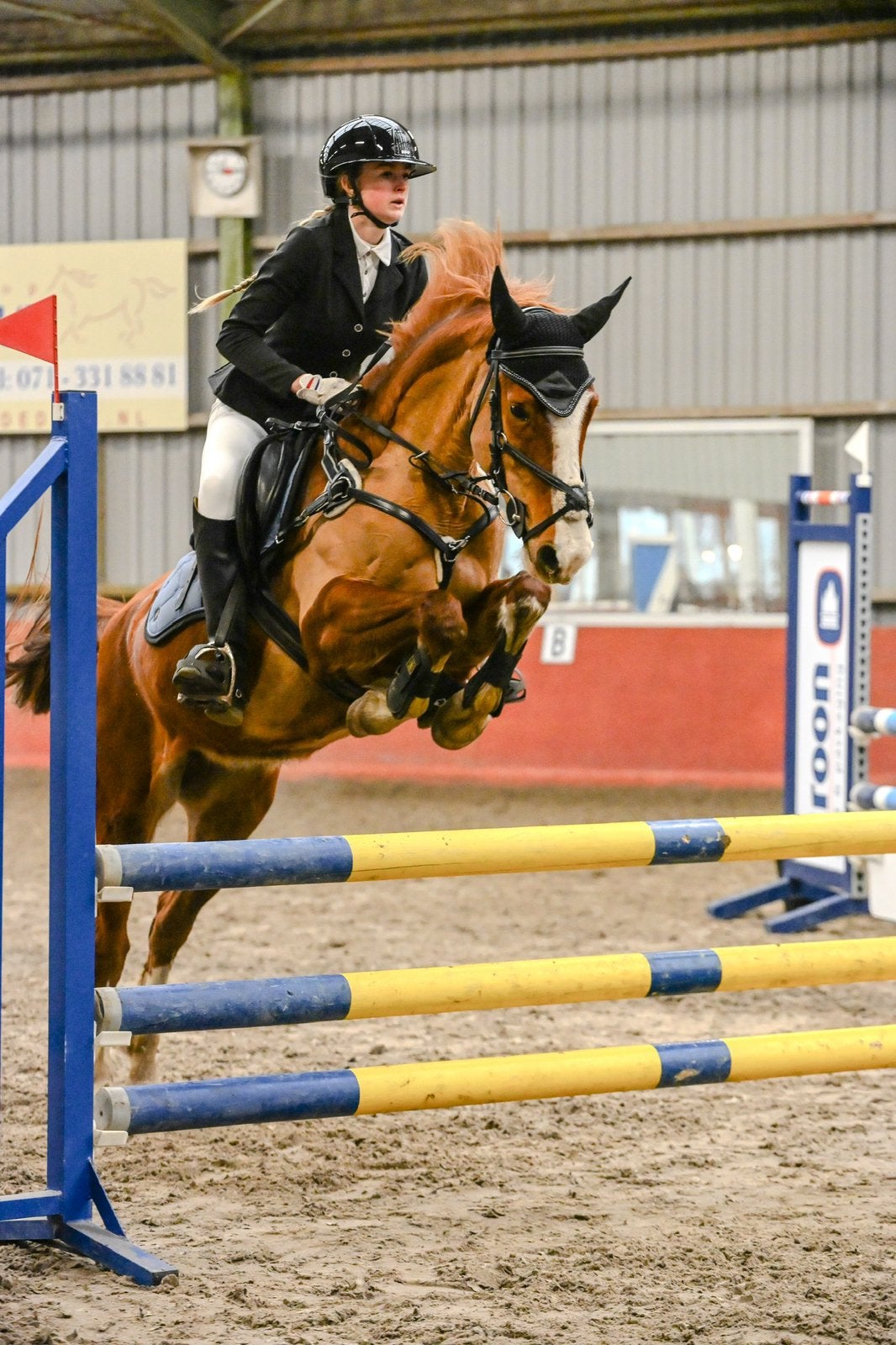 Z Springpony , goud karakter !, Merrie, Springpony, 3 tot 6 jaar, D pony (1.37m tot 1.48m)