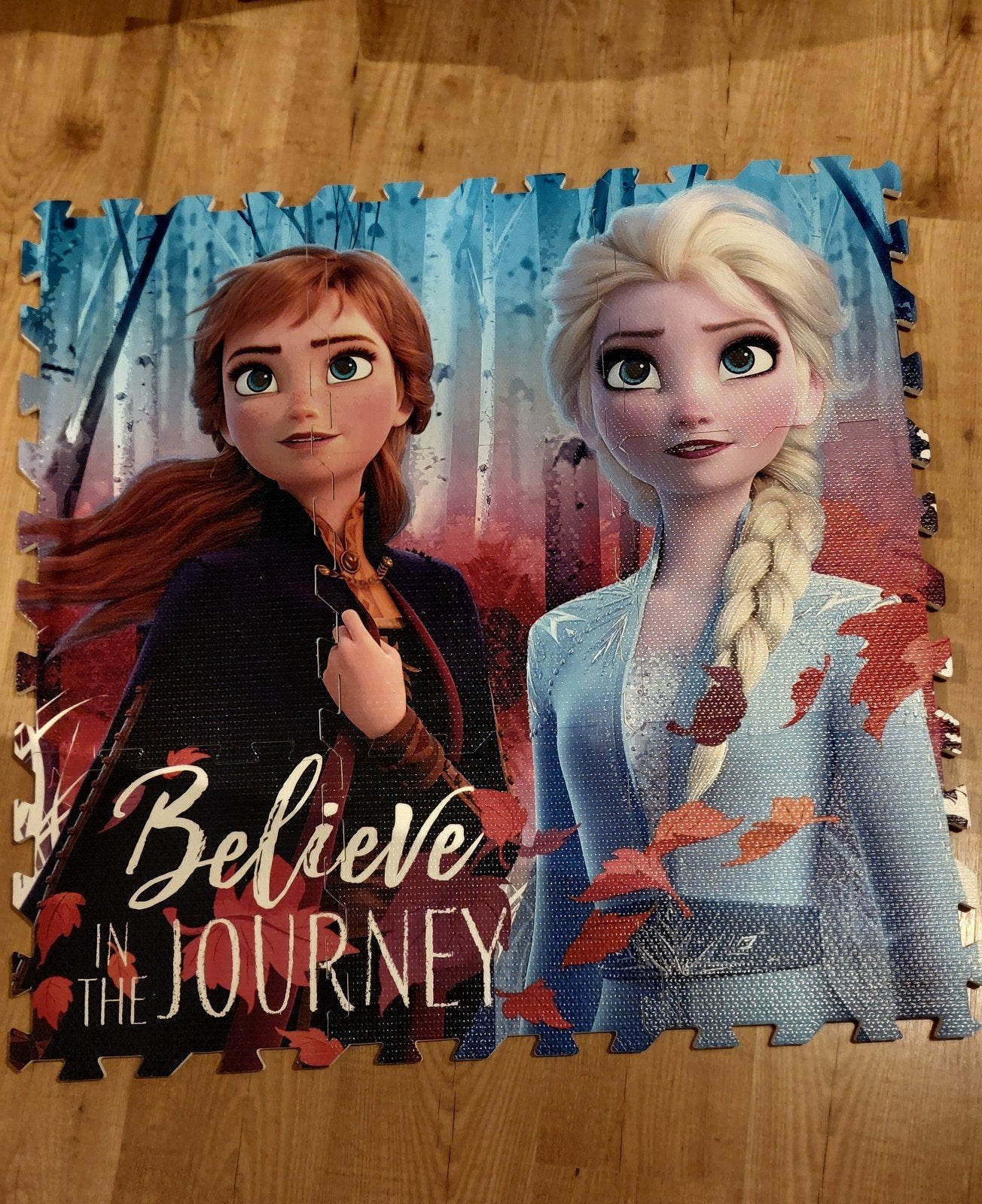 Vloerpuzzel Anna en Elsa, Ophalen, Zo goed als nieuw, Jongen of Meisje