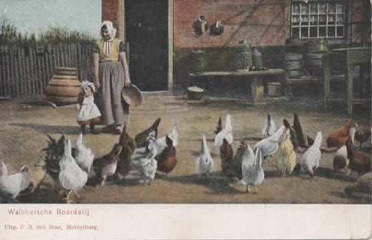 Zeeland 18 klederdachten Walchersche boerderij kippen, Verzenden, Voor 1920, Ongelopen, Zeeland