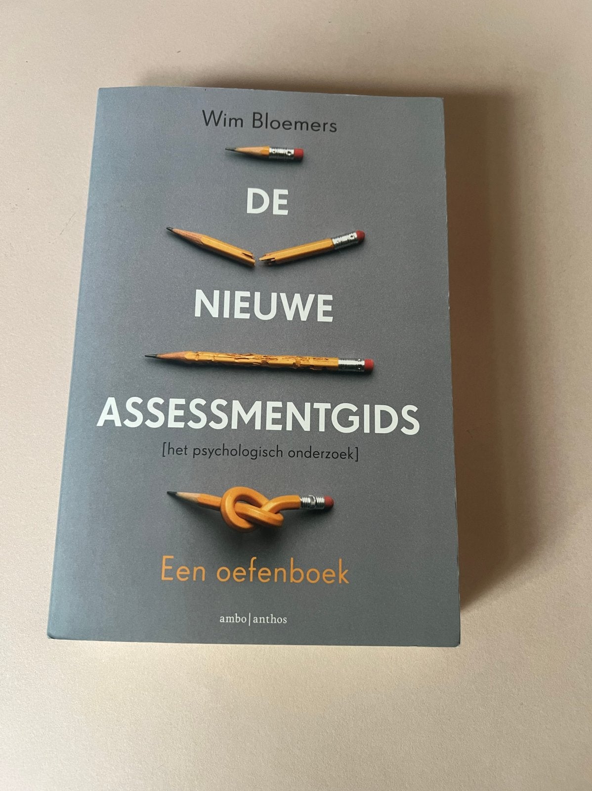 De Nieuwe Assessmentgids - Wim Bloemers (Zo goed als nieuw), Boeken, Ophalen of Verzenden, Gamma, Zo goed als nieuw, HBO