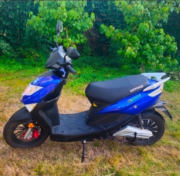 Nipponia e-Rex elektrische scooter, Overige merken, Gebruikt, Elektrisch, Ophalen of Verzenden