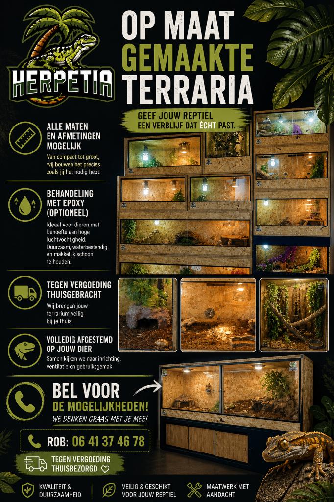 Mooie op maat gemaakte terrarium van osb, Ophalen of Verzenden, Nieuw, Terrarium of Paludarium
