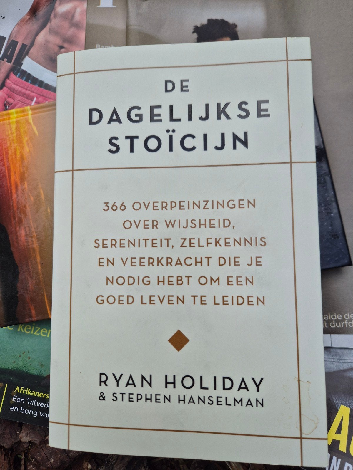 De Dagelijkse Stoïcijn - Ryan Holiday, Ophalen of Verzenden, Zo goed als nieuw, Wijsbegeerte of Ethiek, Ryan Holiday & Stephen Hanselman