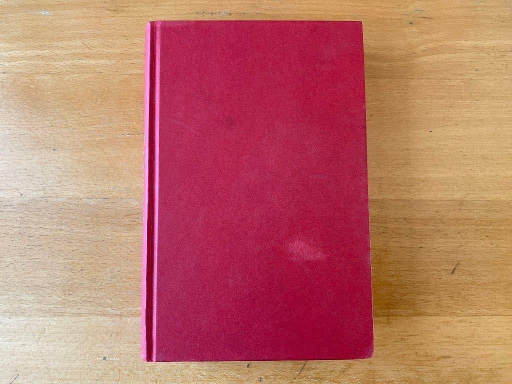 Annet Mooij - De eeuw van Gisèle, Ophalen of Verzenden, Gelezen