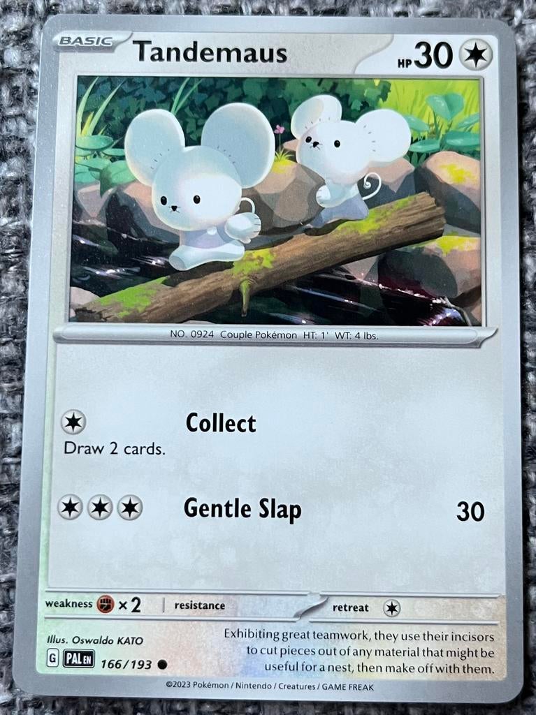 Pokemonkaart van Tandemaus (924) • Paldea Evolved (166/193), Ophalen of Verzenden, Nieuw, Losse kaart