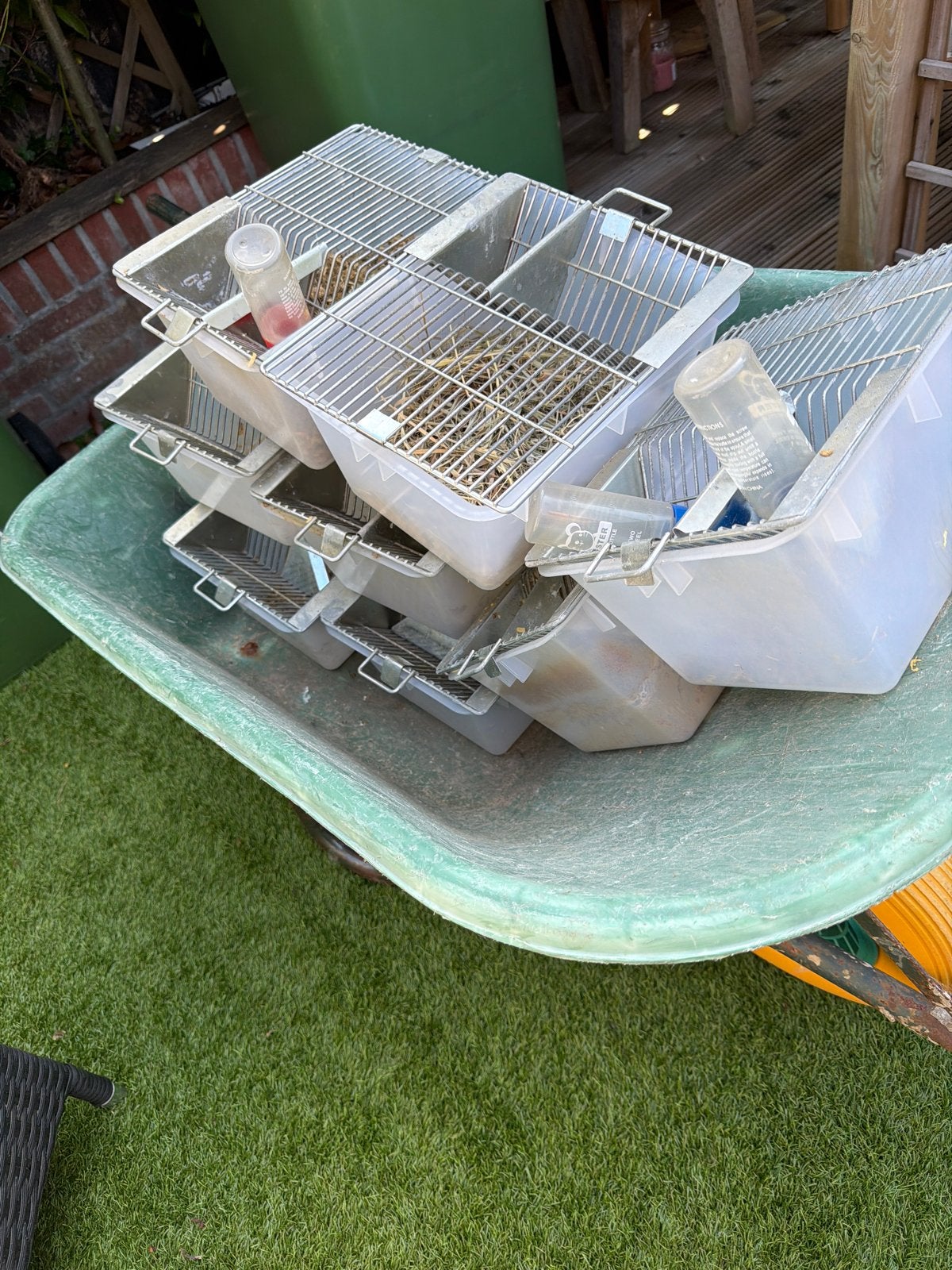Labberatorium bakken. 14 stuks., Dieren en Toebehoren, Ophalen, Zo goed als nieuw