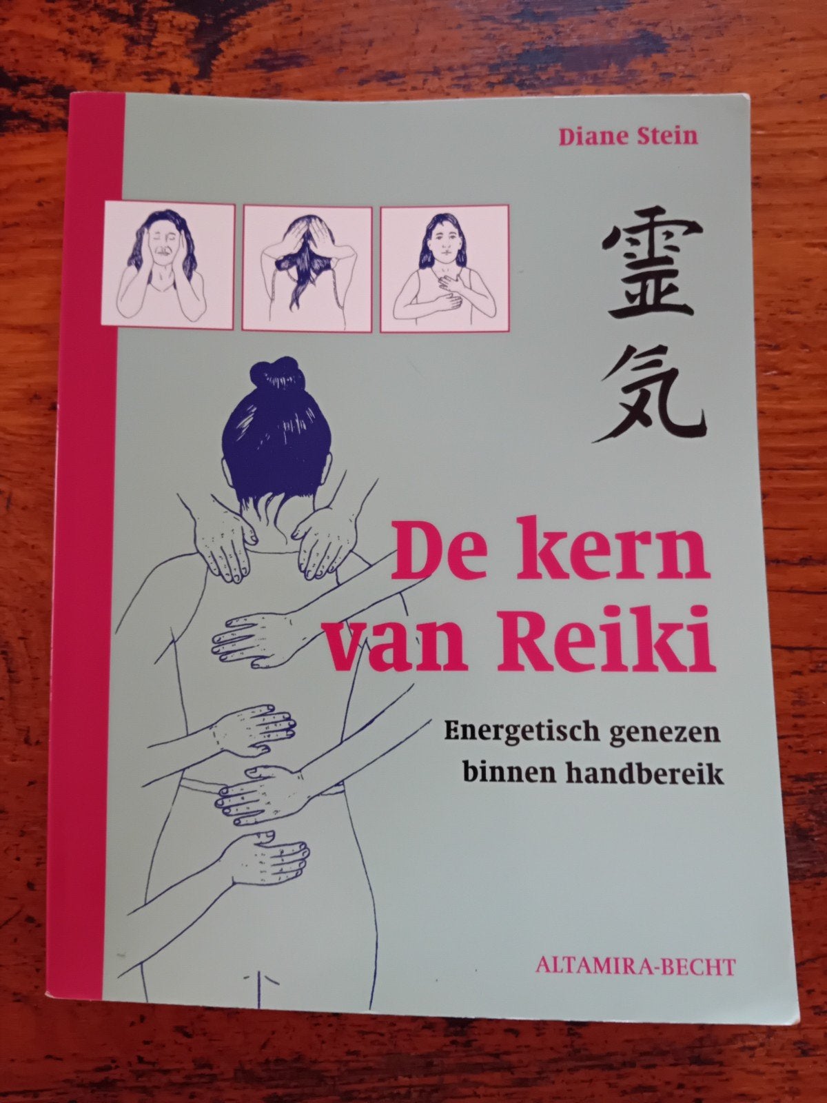 Diane Stein - De kern van Reiki, Diane Stein, Ophalen of Verzenden, Zo goed als nieuw, Instructieboek