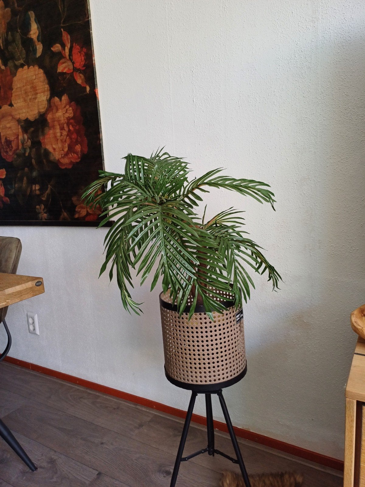 Prachtige kunst palmboom, 100 tot 150 cm, Palm, In pot, Groene kamerplant