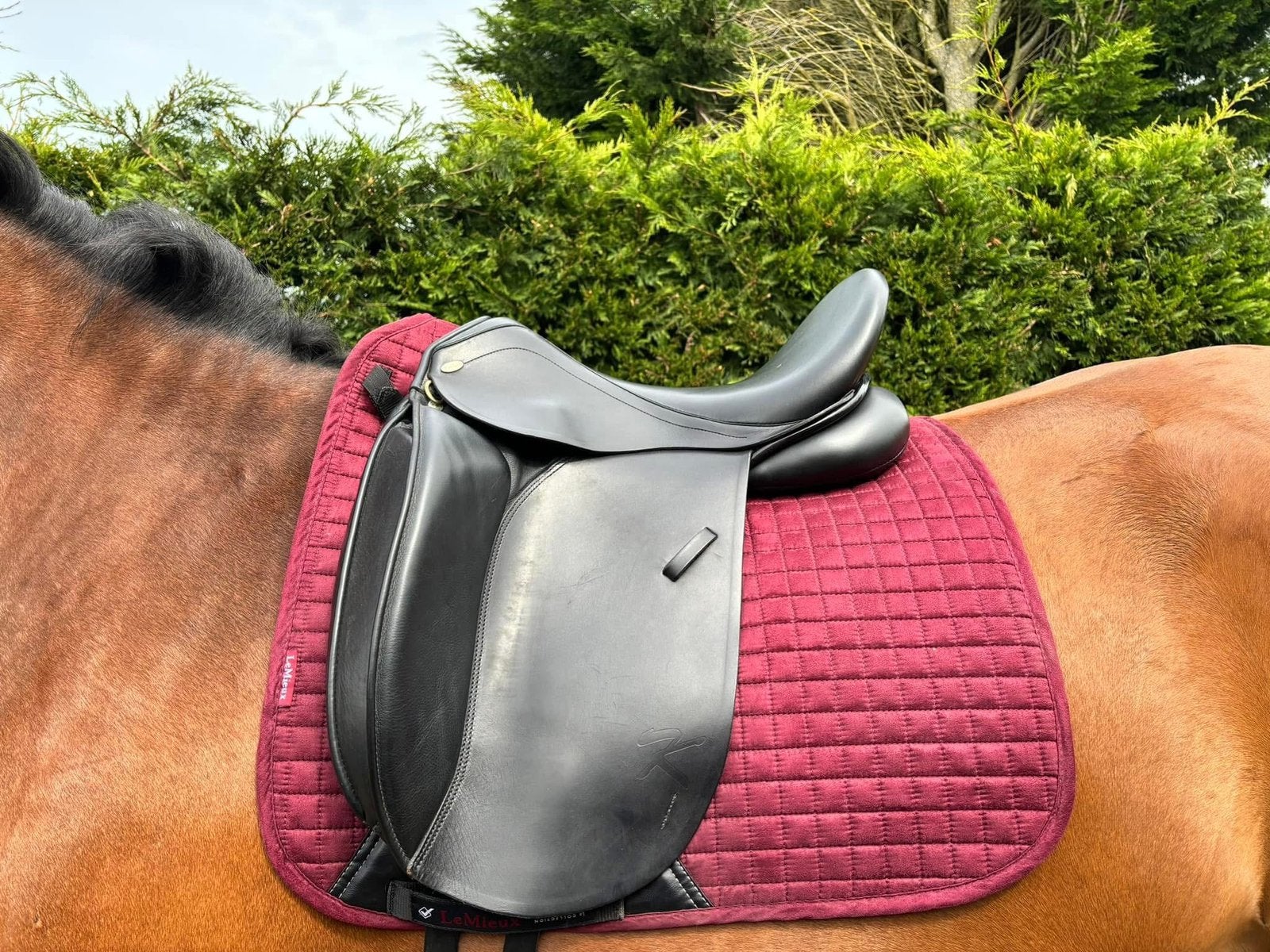 2x dressuurzadel Kentaur Penelopa en vivary 17”, Gebruikt, Dressuur, Kentaur, M (17 inch)